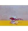 Miele Millefiori Decorato I Frutti dell'Alveare