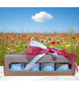 Cofanetto Mieli Vasetti Mignon Vari Gusti - I Frutti dell'Alveare
