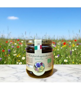 Miele Millefiori Biologico - I Frutti dell'Alveare