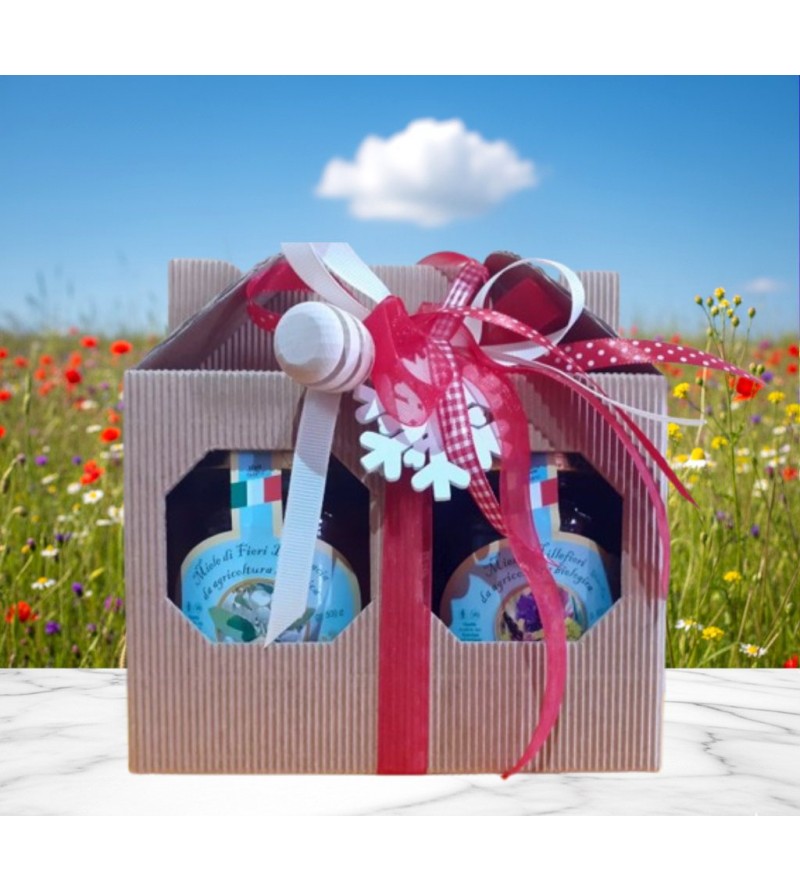 Cofanetto 2 Pz. Miele Millefiori + Spargimiele - I Frutti dell'Alveare
