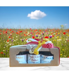 Cofanetto 3 Pz. Miele Millefiori Mignon + Spargimiele - I Frutti dell'Alveare