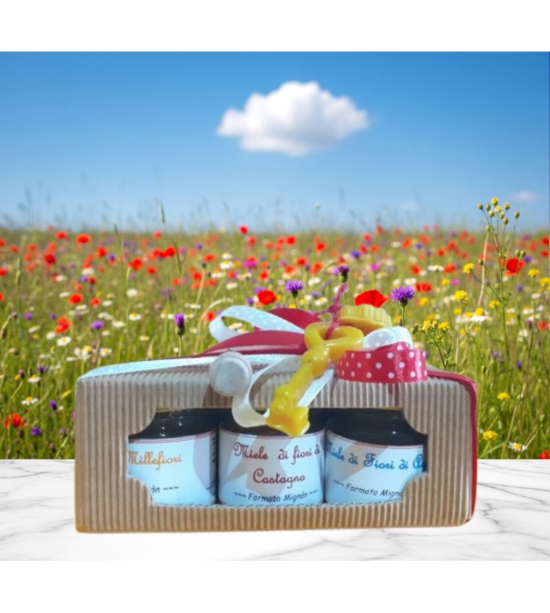 Cofanetto 3 Pz. Miele Millefiori Mignon + Spargimiele - I Frutti dell'Alveare Cofanetto 3 Pz. Miele Millefiori Mignon + Spargimiele - I Frutti dell'Alveare