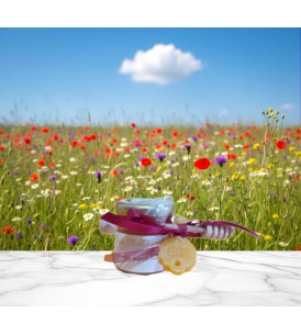 Miele Millefiori Decorato Mignon + Spargimiele- I Frutti dell'Alveare