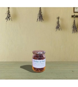 Polline in Favo - I Frutti dell'Alveare