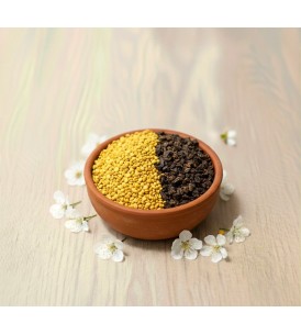 Mielito Vigor - I Frutti dell'Alveare