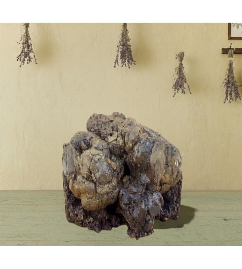 Propoli Grezza Biologica - I Frutti dell'Alveare Propoli Grezza Biologica - I Frutti dell'Alveare