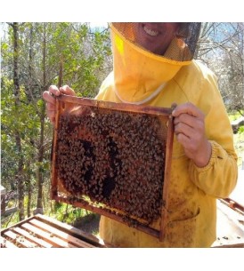 Adozione Alveare - I Frutti dell'Alveare