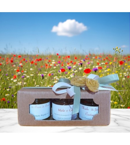 Cofanetto Mieli Vasetti Mignon Vari Gusti - I Frutti dell'Alveare