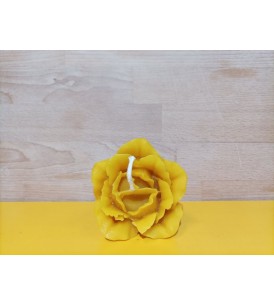 Candela Pura Cera d'Api I Frutti dell'Alveare