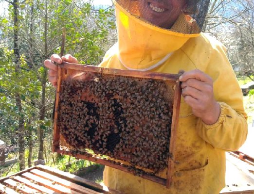 I Frutti dell'Alveare Telaio