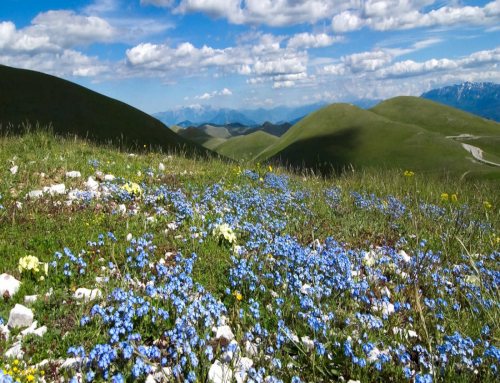 Pescasseroli Montagna