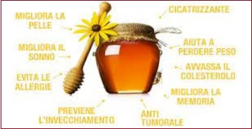 Quali sono i benefici del Miele?