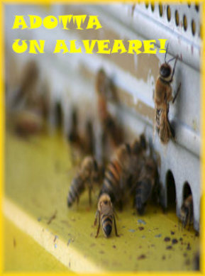 Adotta un Alveare
